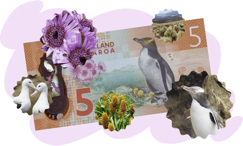 FeatureImage_PestFreeBill.png
