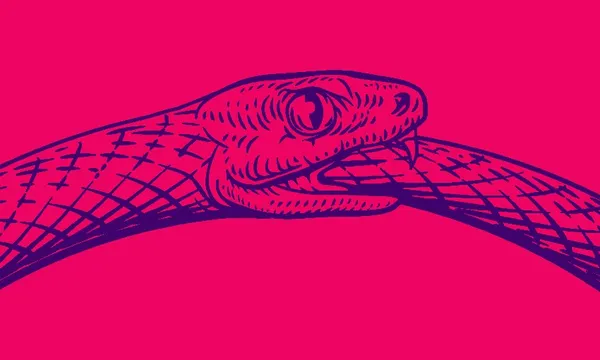 snake.jpeg