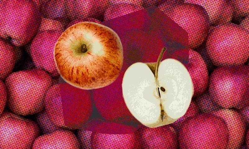 a photo of apples with one sliced open, one whole and more fading into the background