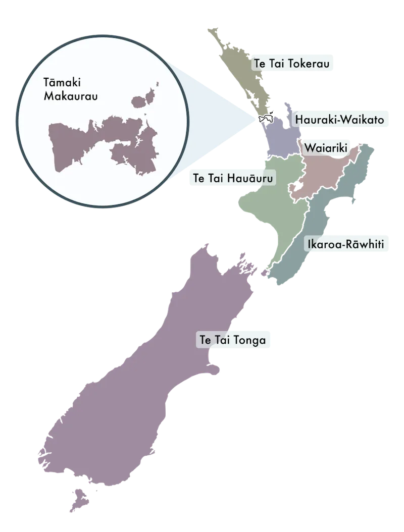 A map of the Māori electorates.