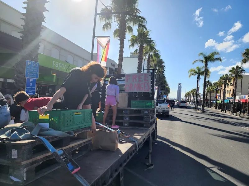 people handing out crates of oranges from a truck along a main road, with a sign saying free oranges