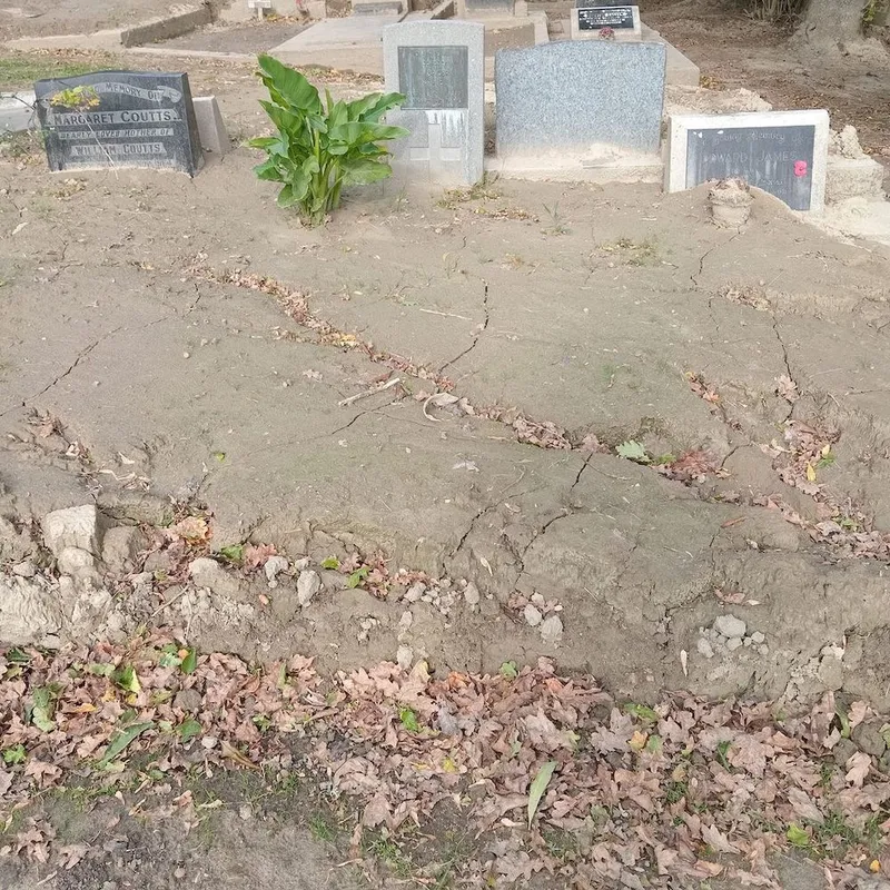 A sad site: a silt covered cemetery in Hawkes Bay.
