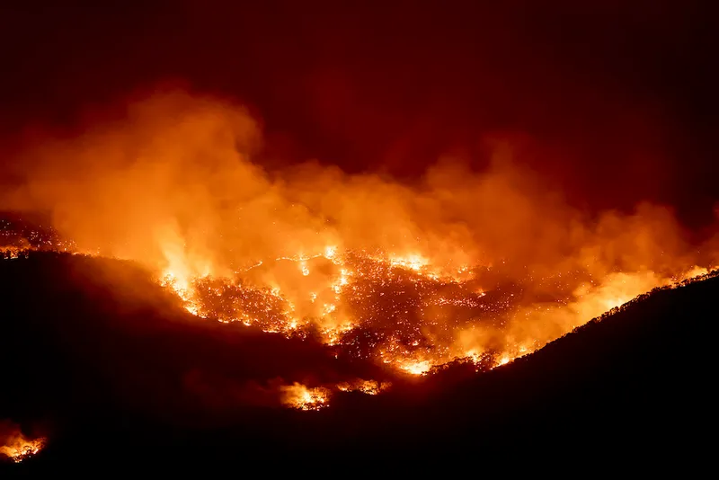 State Of Emergency Declared In ACT As Canberra Braces For Increased Bushfire Threat