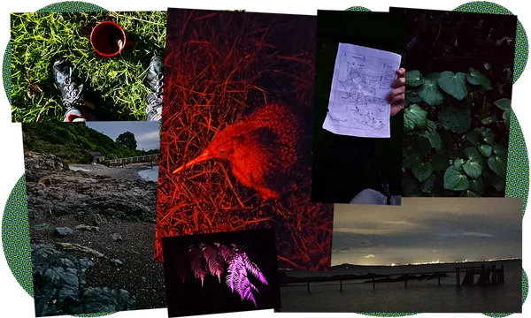 SSTMFT.png