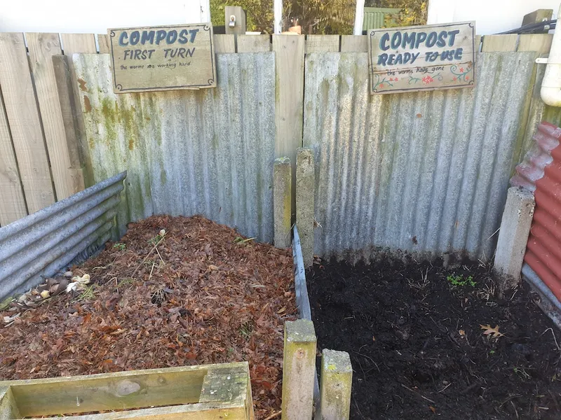 two thriving piles of compost side by side, the one on the left is lighter and says 'first turn', the one on the right is darker and says 'ready to use'