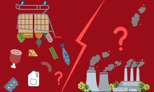 A lightning bolt divides a red background in two. On one side is a shopping cart with food items tumbling out and a question mark. On the other is polluting factory towers and a question mark.