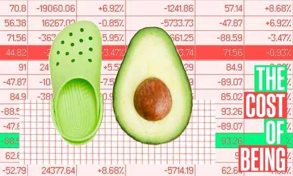 red and green cost of being background with a croc shoe and avocado next to each other