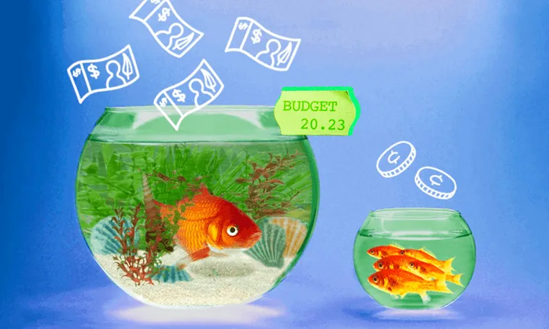 Budget_Fishbowls.png