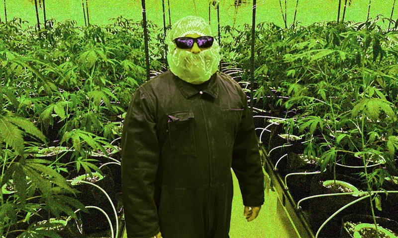 FeatureImage_WeedMan.png