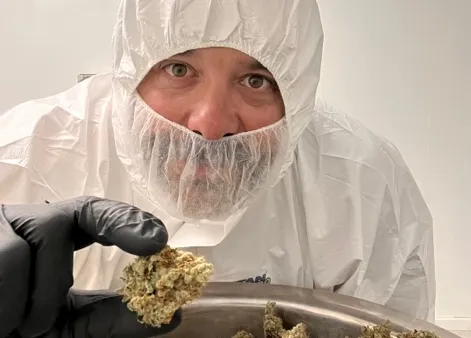 A weed grower with his dried cannabis.