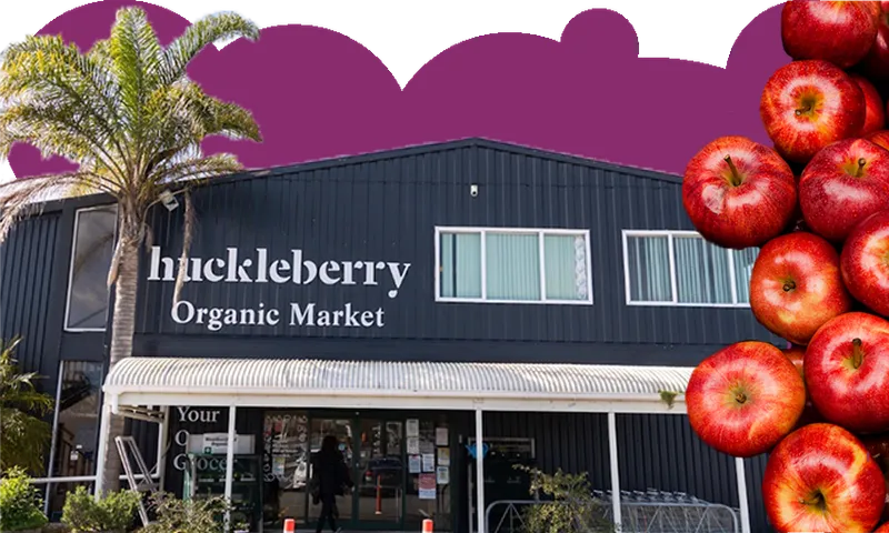 Huckleberry2.png