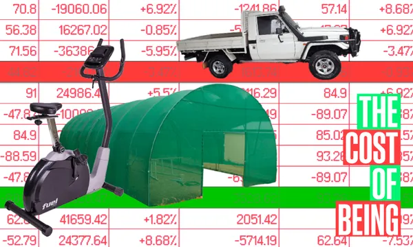 TCOB_2006Ute_tunnelHouse_exercycle.png