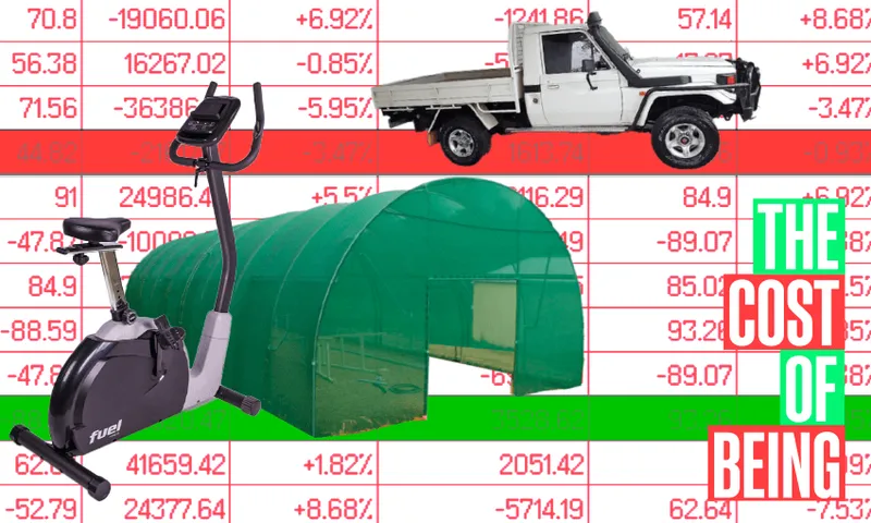 TCOB_2006Ute_tunnelHouse_exercycle.png