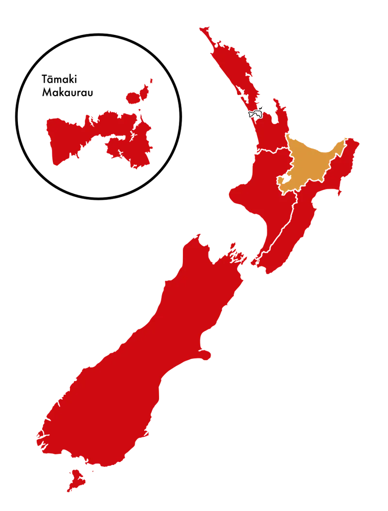 A map of New Zealand's Māori electorates by party which party won each contest.