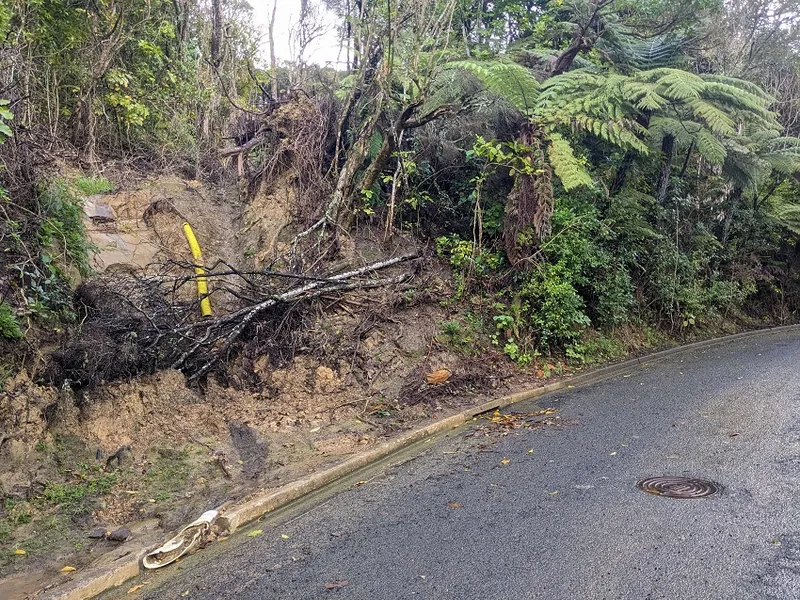 a road with a toppled tree and scoured out muddy gulch