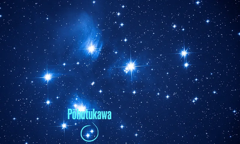 A photo that shows where Pohutukawa is.