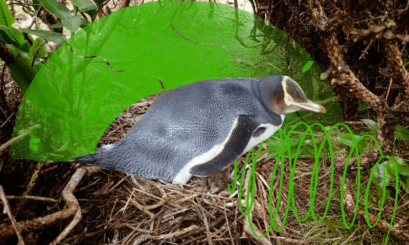 FutureProof_penguin.png