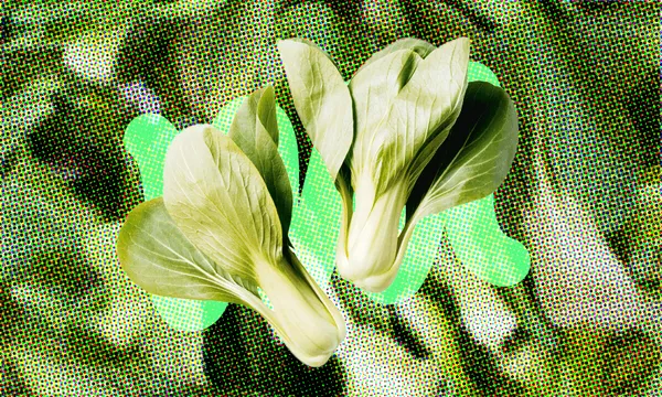 FeatureImage_IngredientBokChoy.png
