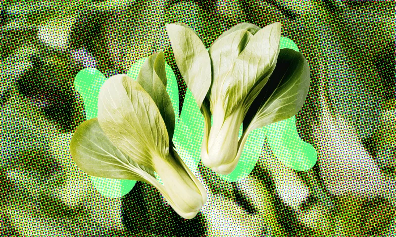 FeatureImage_IngredientBokChoy.png