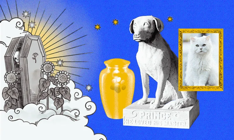 a bluebackground with an illustrated coffin, an urn, a dog statue and a framed photo of a cat