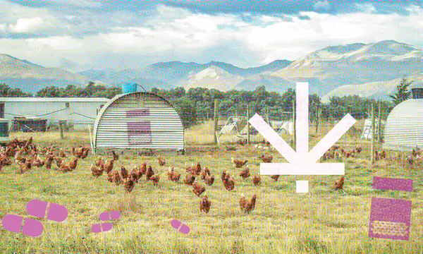 FarmingOnDrugs.png