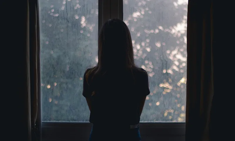 Rear View Of Silhouette Woman Looking Through Window At Home
