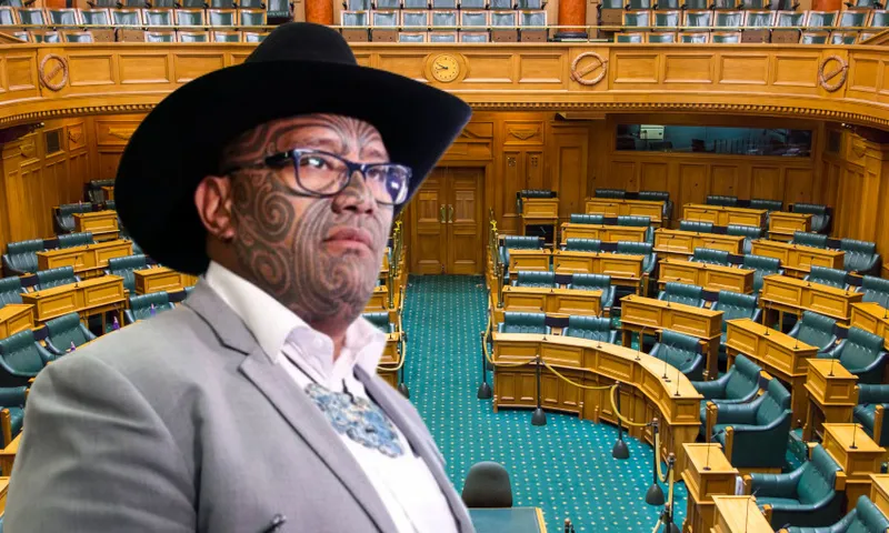 rawiri-waititi-parliament.jpg