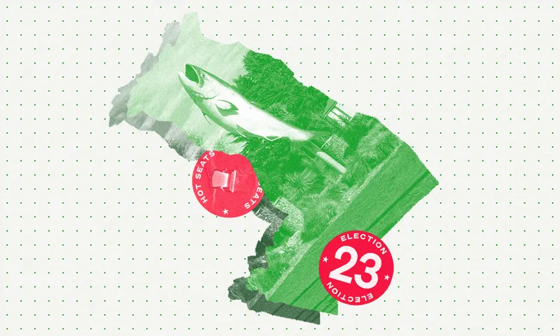 a boot shaped electorate tinged green with a photo of rakaia's poised salmon in the midle and an Election 2023 sticker