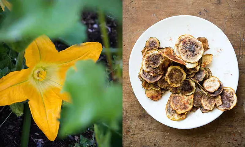 zucchini chips