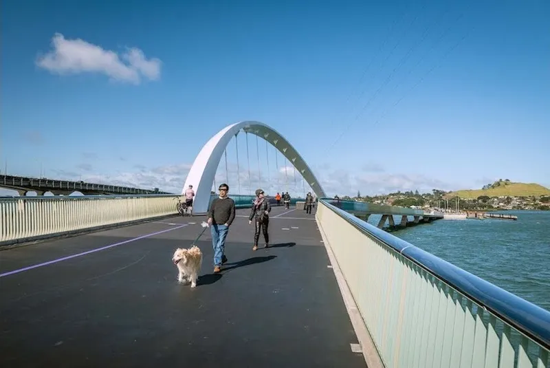 The Ngā Hau Māngere bridge over the Manukau harbour.