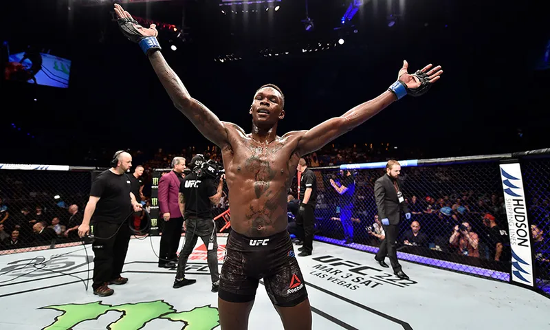UFC 221: Wilkinson v Adesanya
