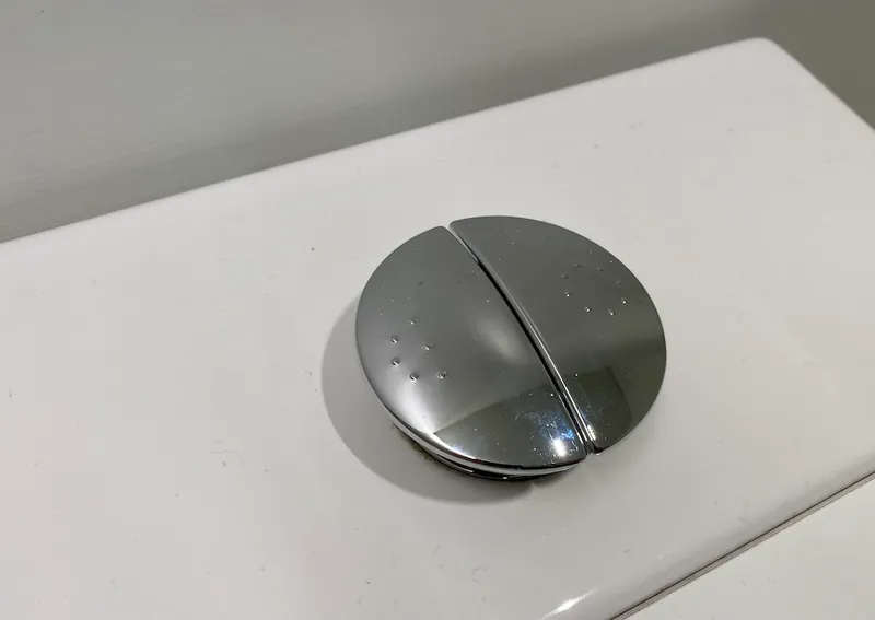 A confusing toilet buton.