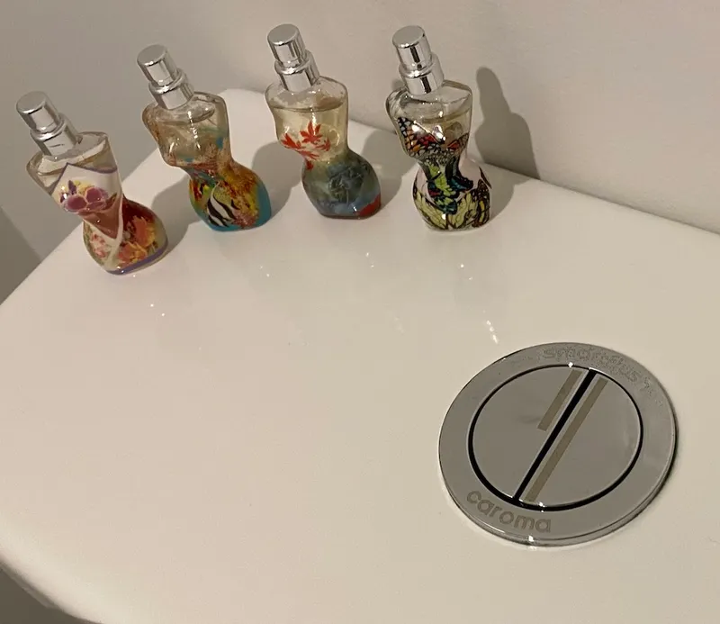 A third confusing NZ toilet button.