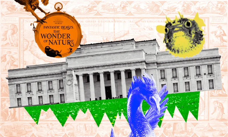 Museum-fantastic-beasts.png
