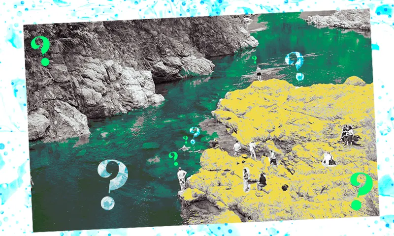 a river with people standing on rocks looking in with lots of questionmarks and a sort of green and yellow wash over the images with slightly threatening overtones