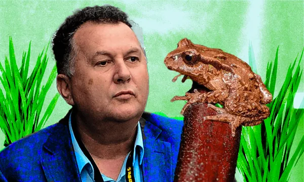 A man in a blue shirt and jacket looks at a brown frog perched on a branch, with green plants and a light green background behind them.