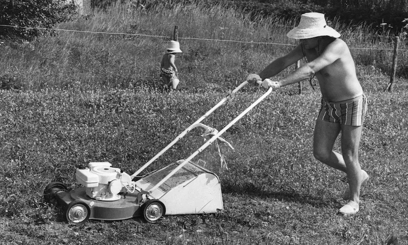 lawnmower.jpg