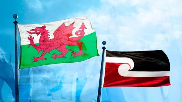 Welsh-revitalisation