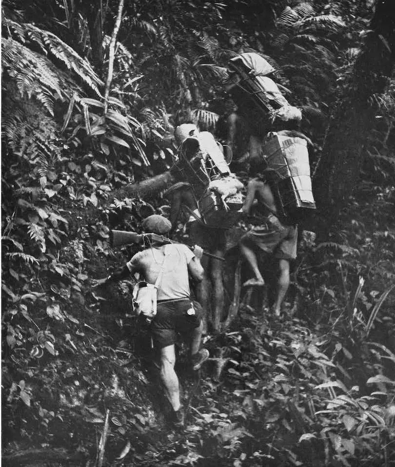 Black and white photograph of a steep section of hill, covered in tropical scrub. Four men scrambling up it, some with huge packs on their backs.