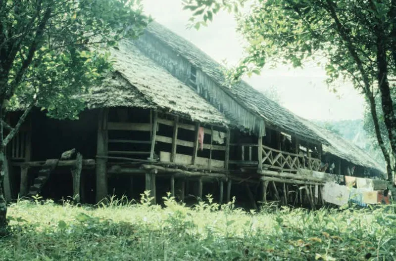 Colour photo of a jungle clearing dominated by a huge wooden building.