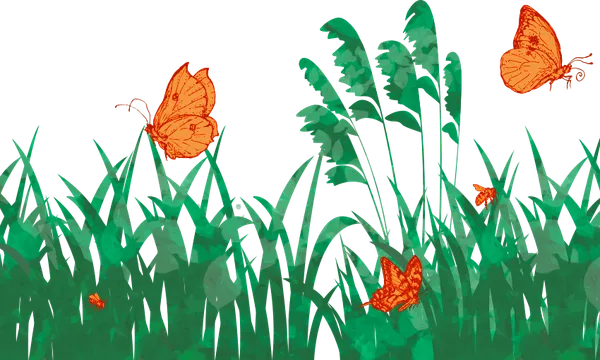 Overgrown-beeeeerm