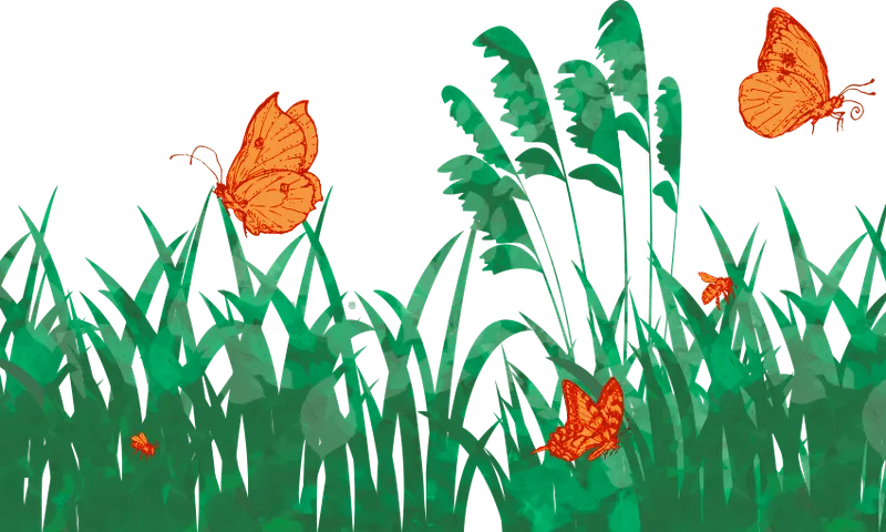 Overgrown-beeeeerm