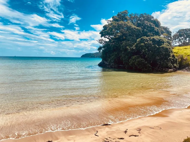 Great Barrier Island