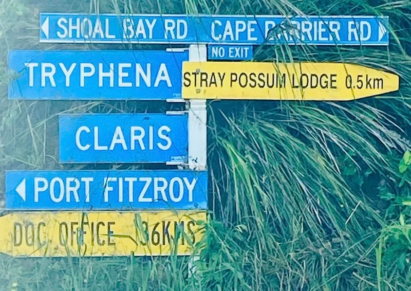 Great Barrier Island