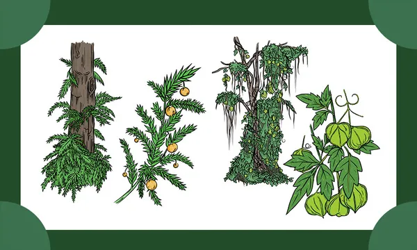 Drawing Science_weeds Feature Image