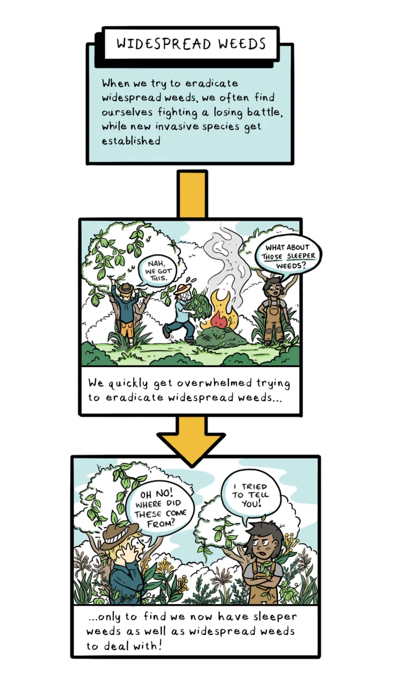 weeds_comic_V2