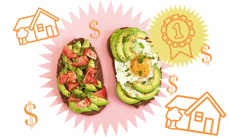 avo (1)