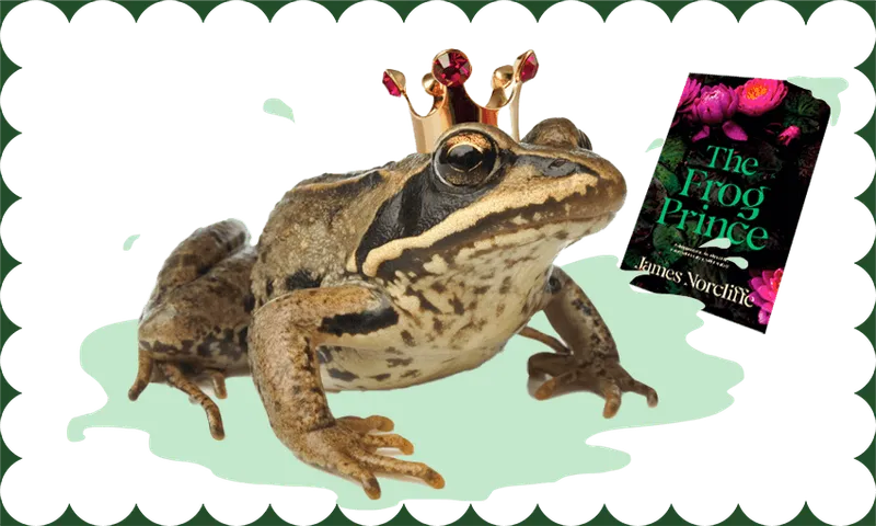 A big gross frog takes up most of the frame. He's wearing a crown, and has splashed in a puddle. A book to the right - The Frog Prince - has a few drips on it.