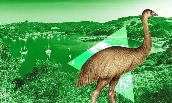Ioane Ioane’s Moa on Waiheke Island