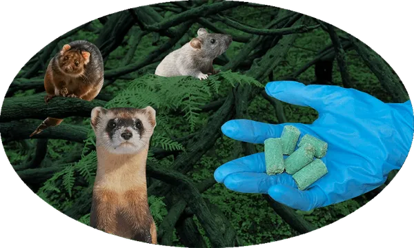 FeatureImage_PestPoison